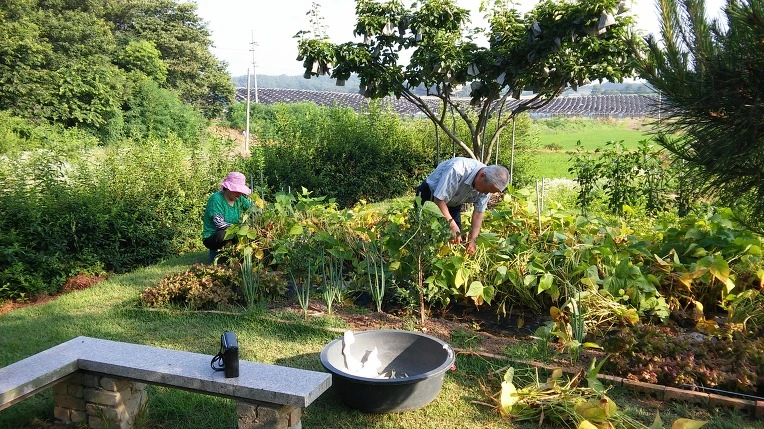 233CDA47576F80AB41CF42