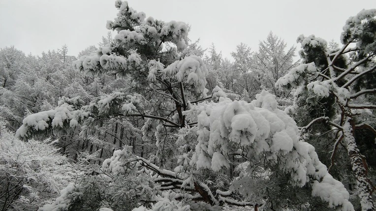 2476573C565F93ED25A280