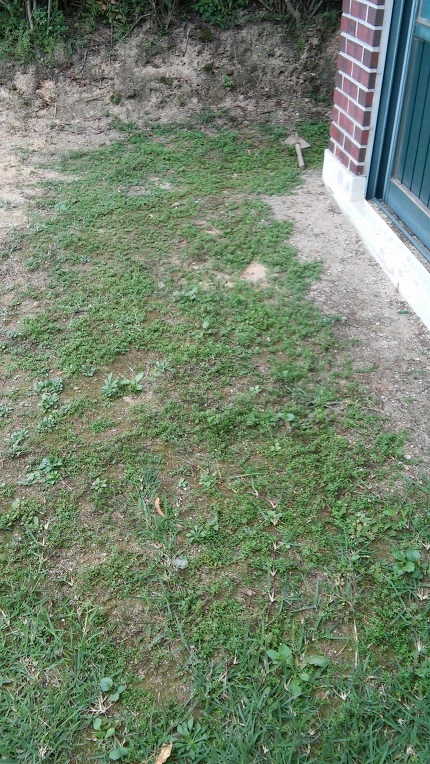 240B533657D5348A1C5FA6