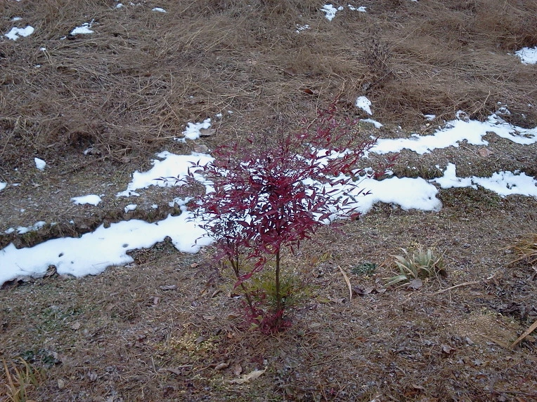 1369103D4F062070318CD8