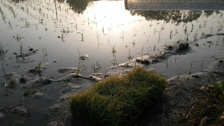 265FB037572E66C311406B