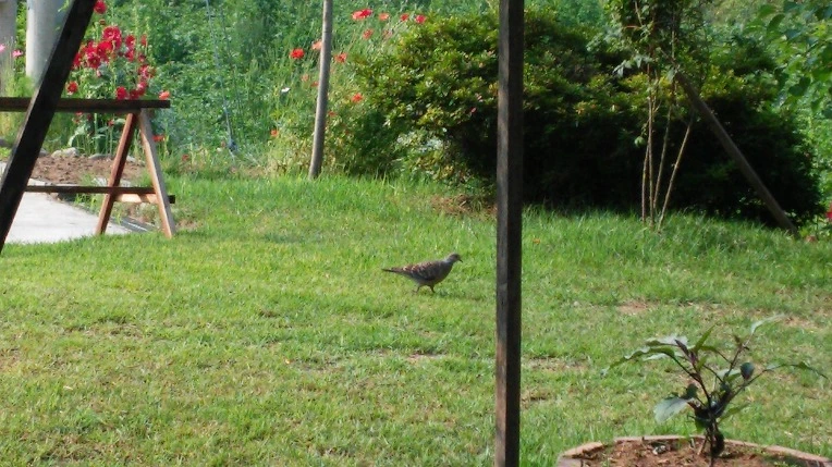 2560B53357649733226C67