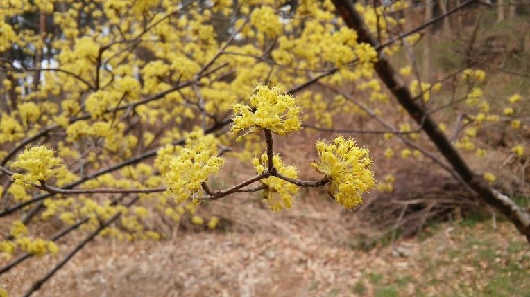 2714DB4458D8DBB3296225