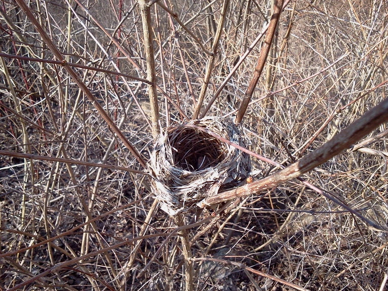 12015643515784DC2601DA