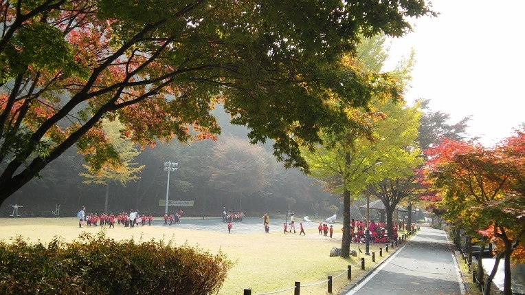 22149F385625E5A9050F3B