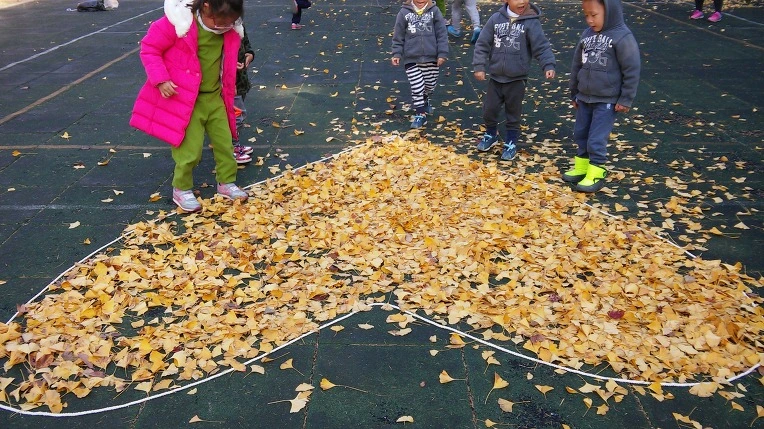 23787C365631ACFA13428D