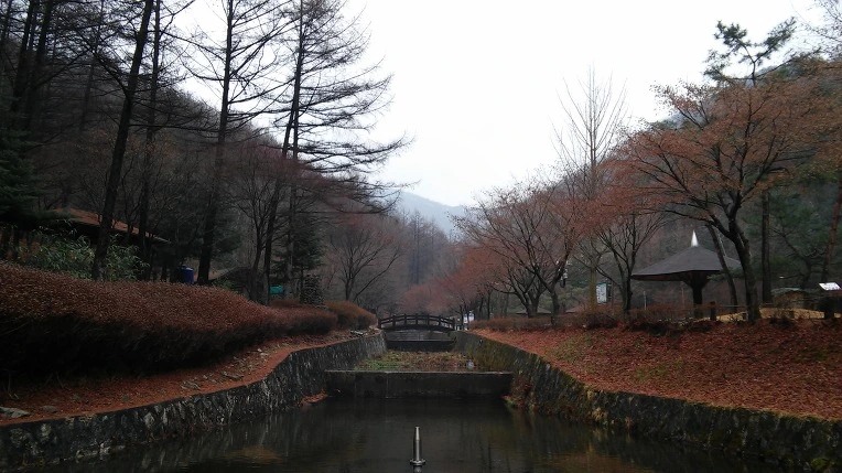 2264583C567212961336D9