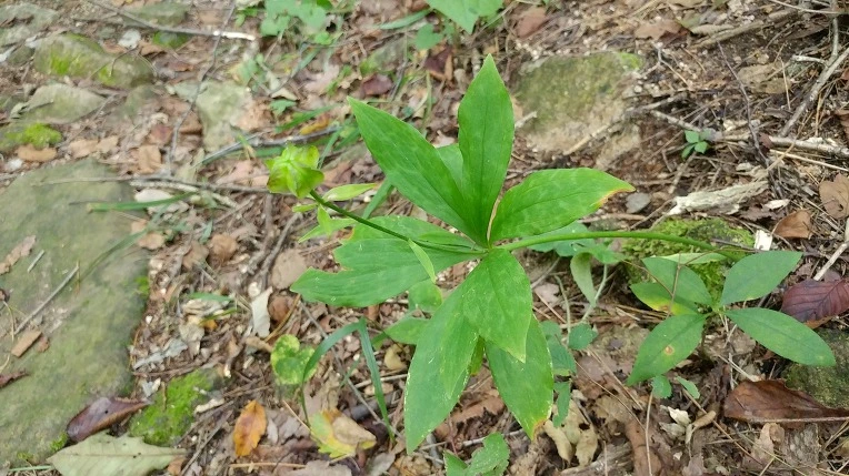 9916DE355DBE67D1395F2D