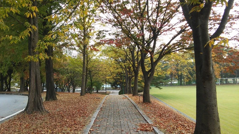 23108337562A9FC52E9BF9