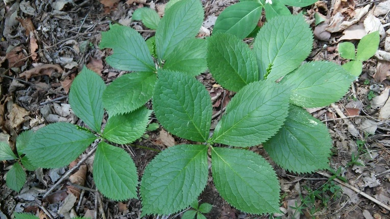 230A243C59290FE1361F60