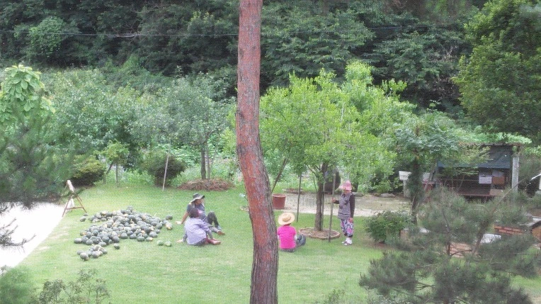 224ADC45578C5B23342536