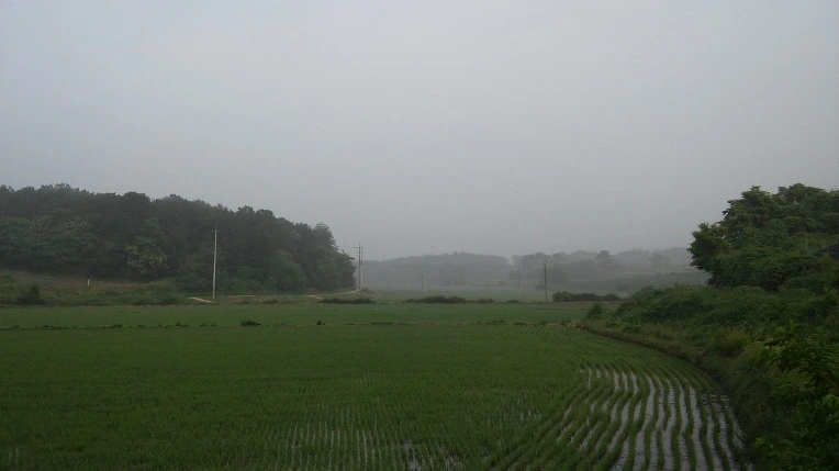 23661C345758ED5D163690