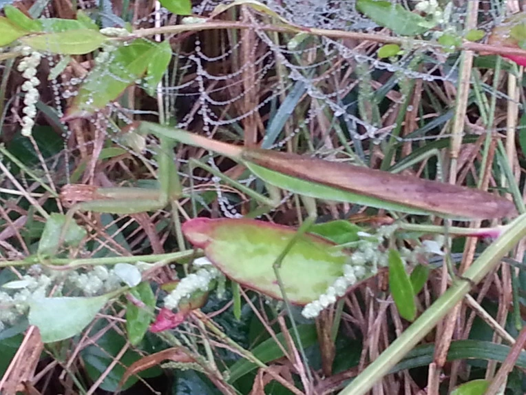 266DC74E553D9EDC1295BA