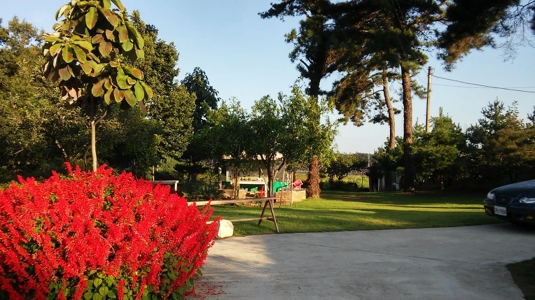 24649A3957E3A32A359C8F