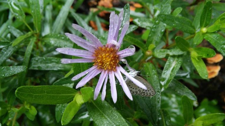 23FDDC33597D092A18242D