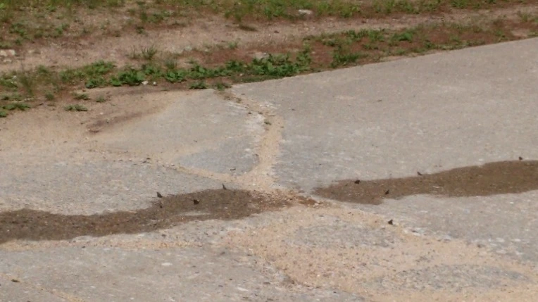 2542DA4B592E9ED332CA43