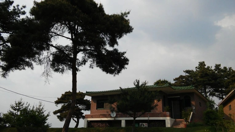 265EF950591BADF6351E5A