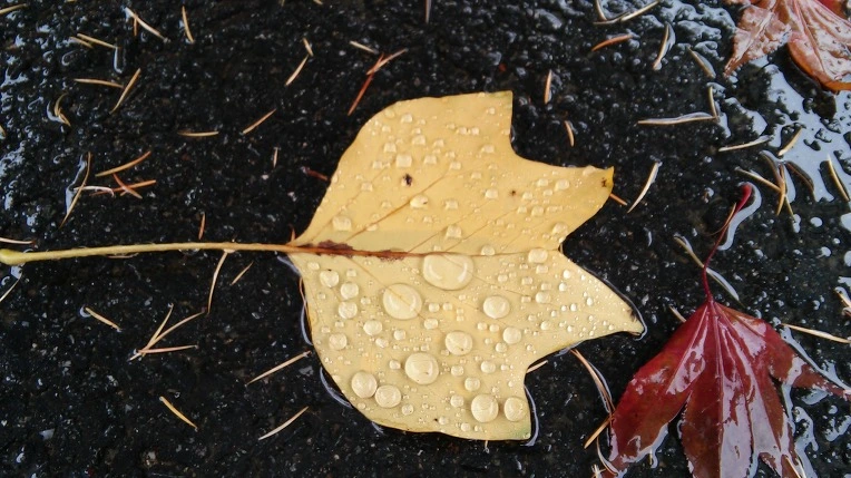 2616ED33563D84DD25BABE