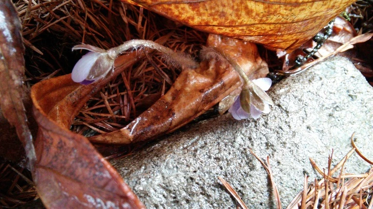 994FC24D5CA072F509F1C7