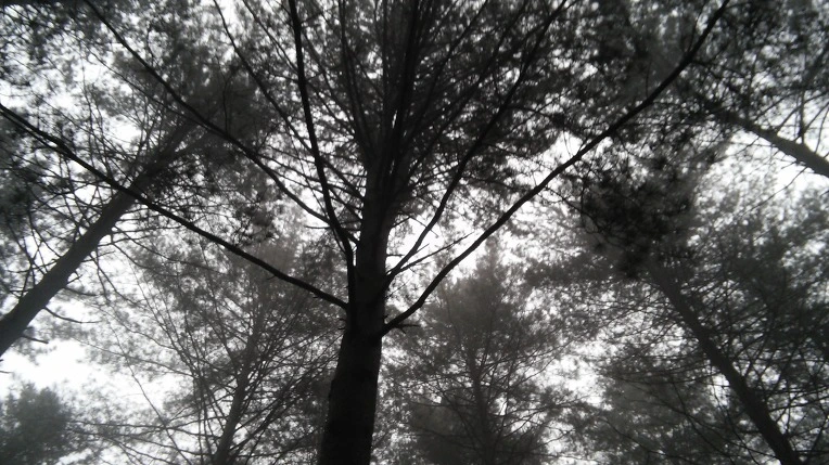 225DBF4E56DA7C470AC791