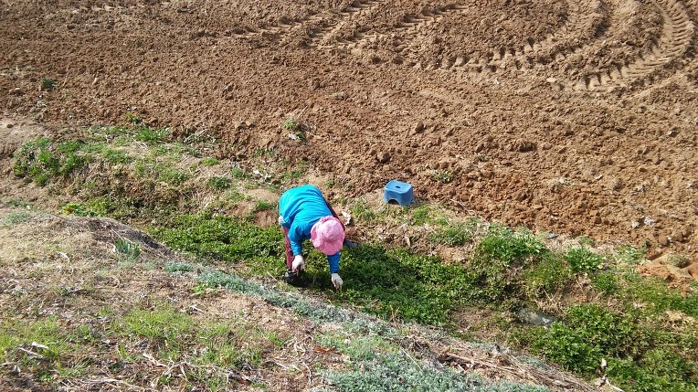 2378E33E56FC8D680FEE9E