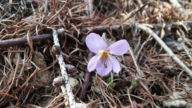 212C573756F7756F230DD8