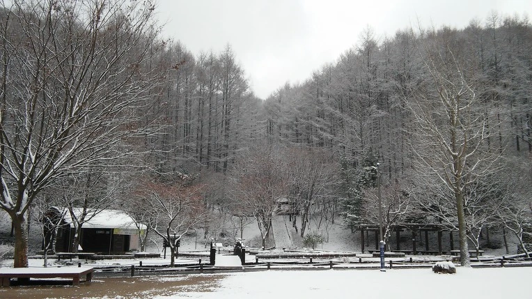 244D23395656A5170AC620