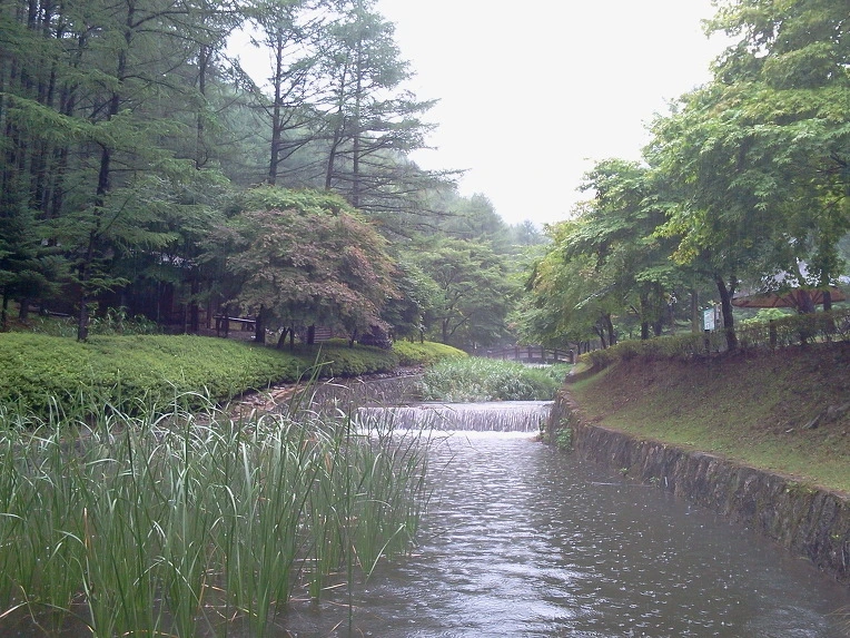 237F1A4D51259B732462CF