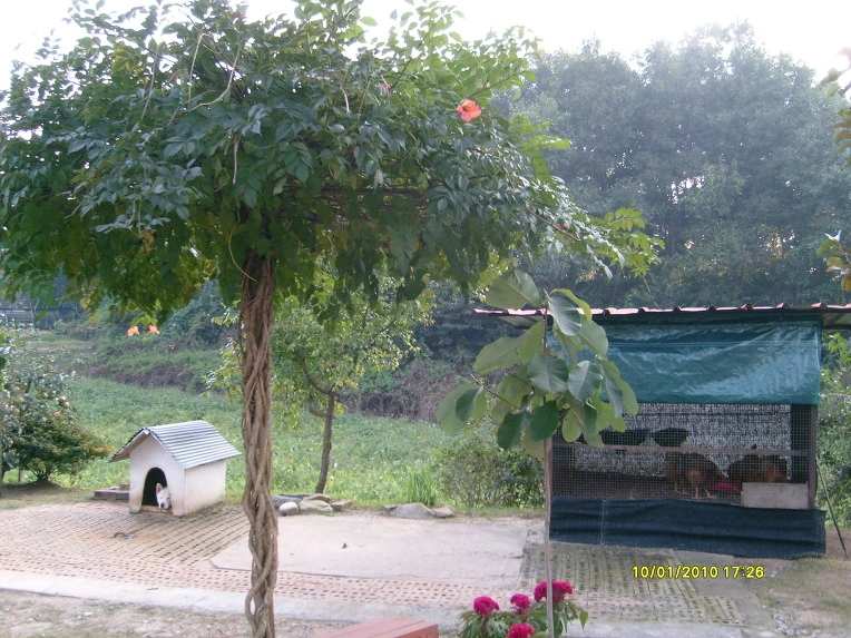 154D061C4CA5CEDFCD1837