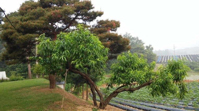 275BFB3E574E4FF70BF9D3