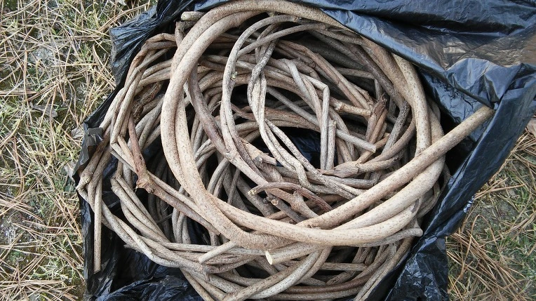 245C3C3556B444AB0F10F2