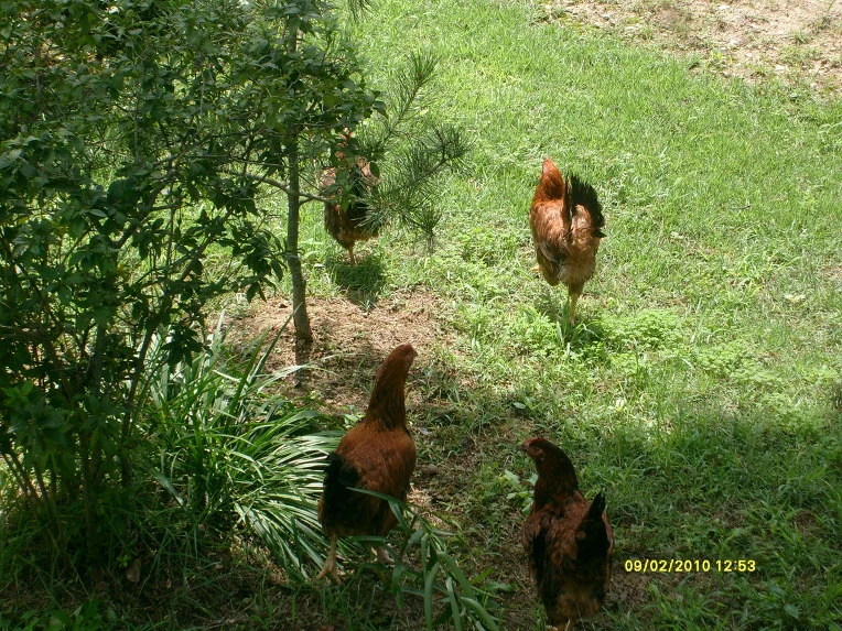 1616061A4CA5BE5160F1C7