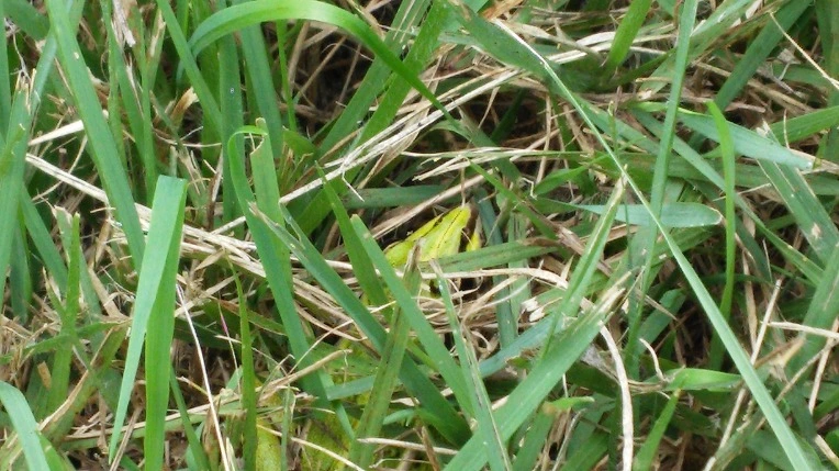 213CB53557D665BE2D53D5