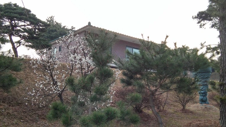 226C154056FC8BFE26E30A