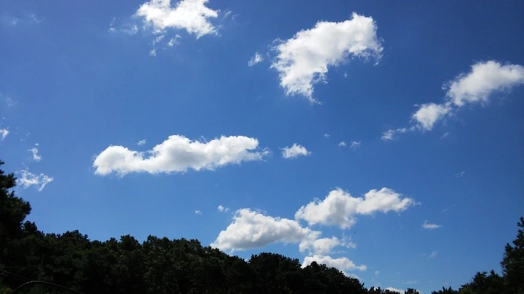 2323D24F57C410E535B081