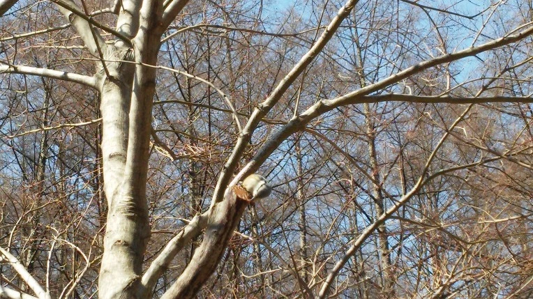 2131A434569F33771CF47E