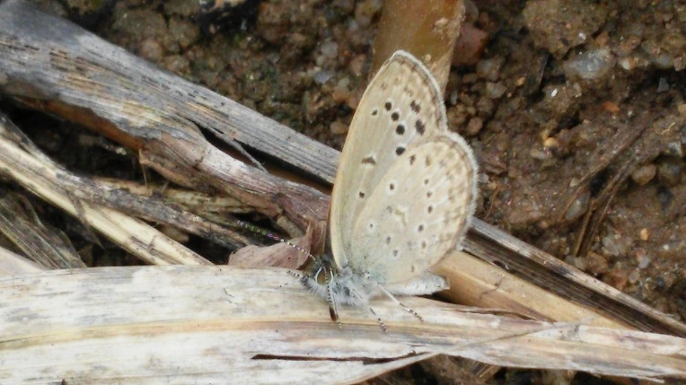 2355C548564999C43254C3