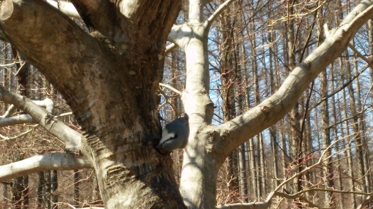 240D043B5501399C2CEC0F