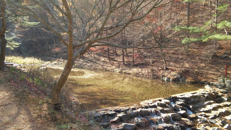 998E94335A0D1C80129C46