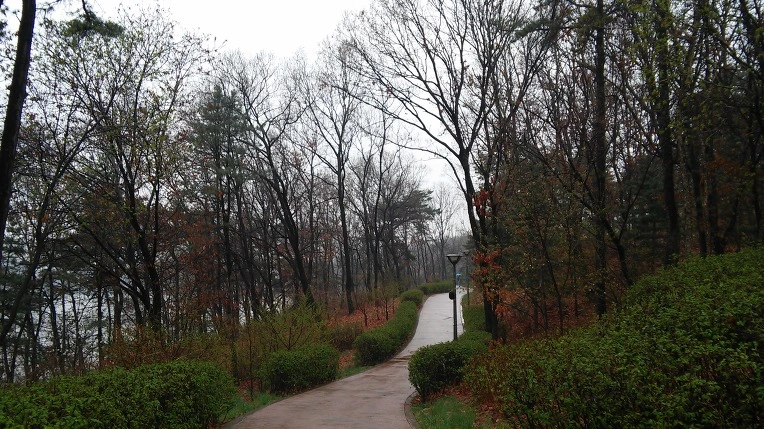 221EFF4E57059CD224AC36