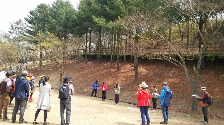 262ADB4C570969E2264B71