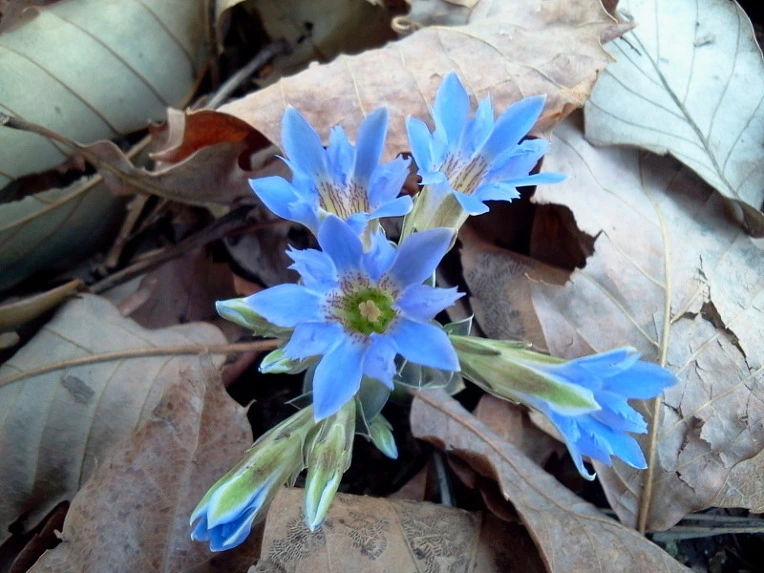 27287D3358804BCE26C3C2