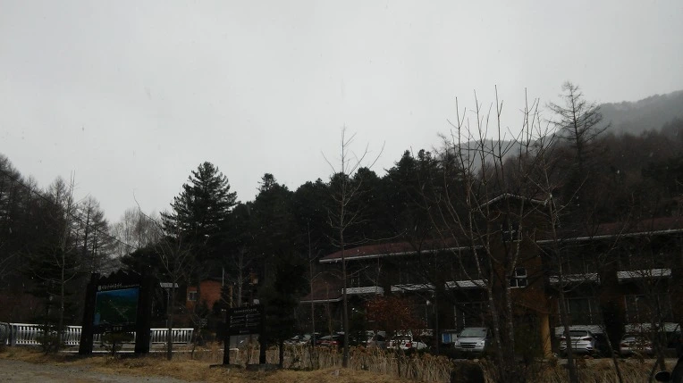 2476BE3A56F721B51D876A