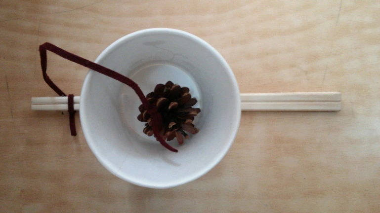 253D6B375450BA351A5FA8