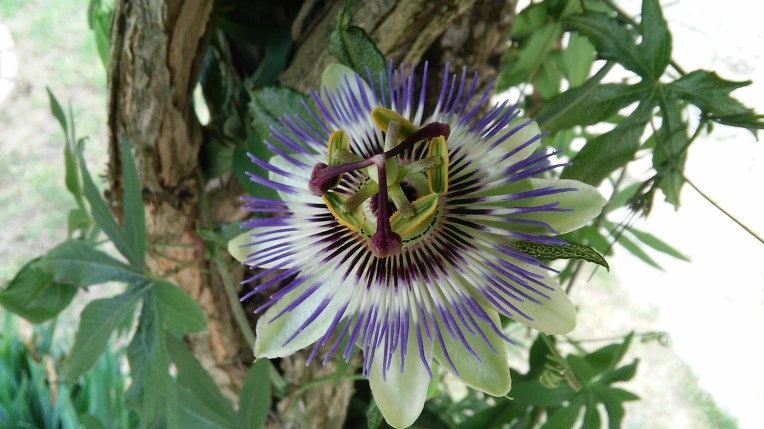 2270354C575E42660E11F7