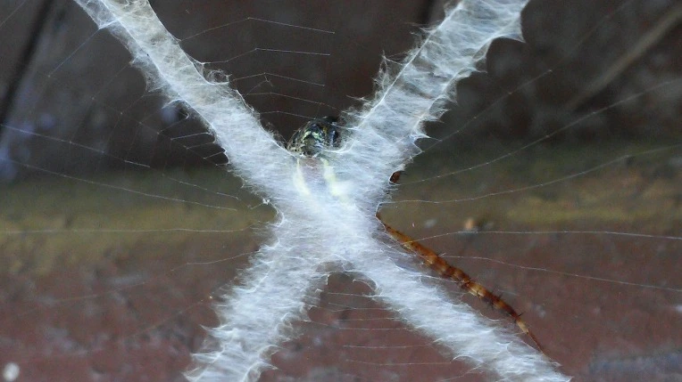 237B174455F11E870C7510