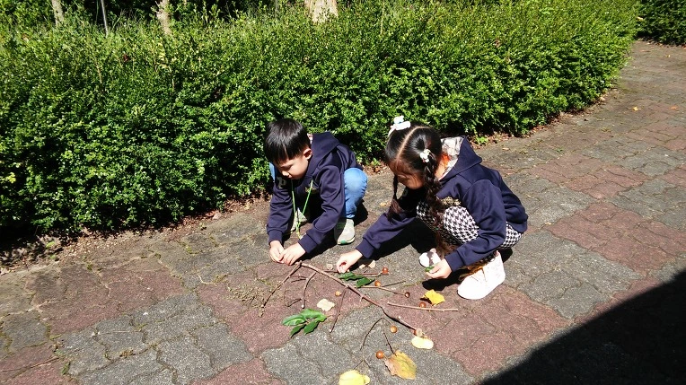 2523173755F8F012205CB3