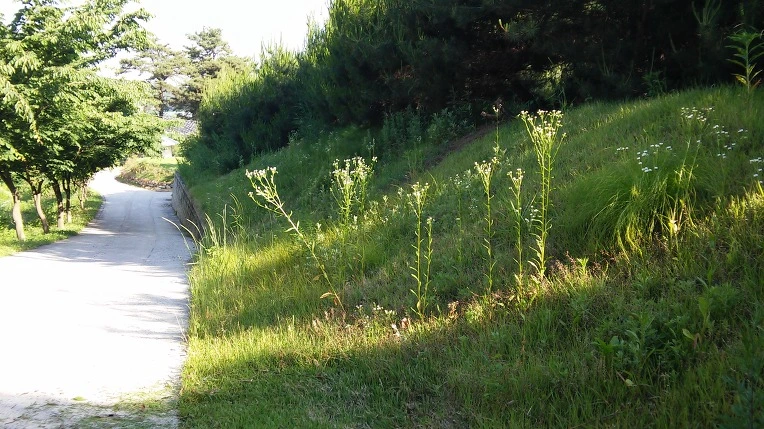 2745B938574FC0E207E468