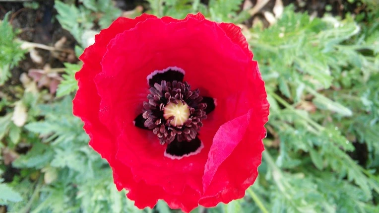 27720A4E572E73301DED3F