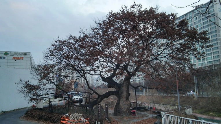 2329DE435854CB8C33BFE6